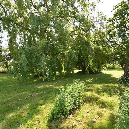 Spacious Holiday Home In Hornstorf With Trampoline Extérieur photo
