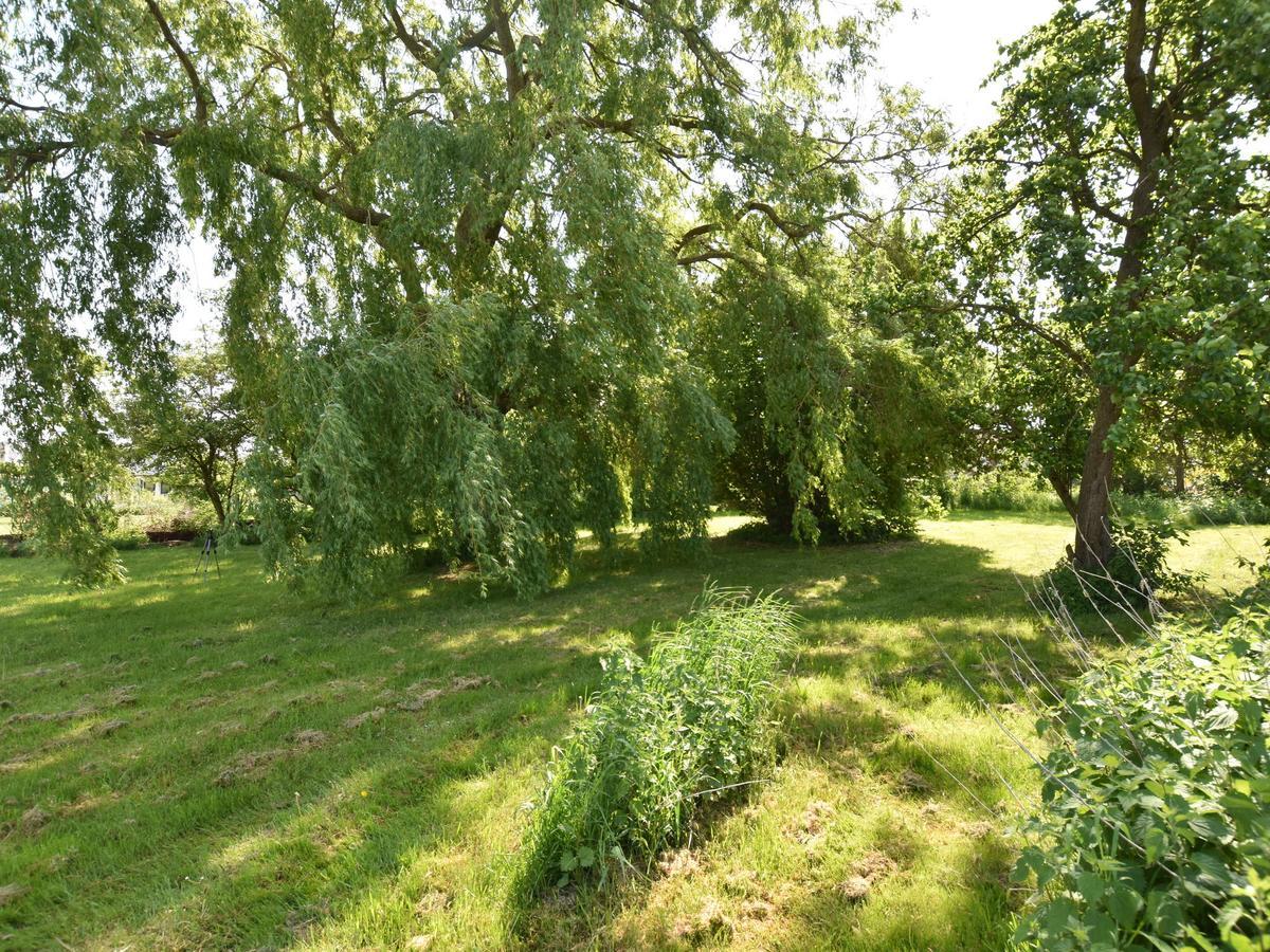 Spacious Holiday Home In Hornstorf With Trampoline Extérieur photo